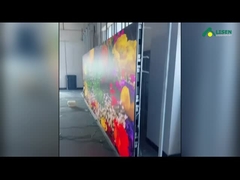 ROCHEL Fijne LEIDENE van de Pixelhoogte Vertoning